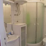 Mirca 2838b * Mirce